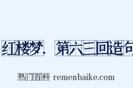 红楼梦．第六三回造句是什么意思的图片